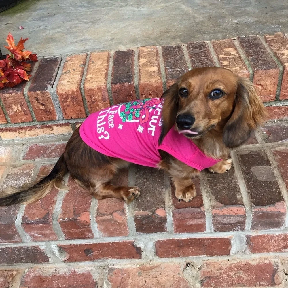 Who Needs Mistletoe With A Face Like This Pink Christmas Dog Shirt